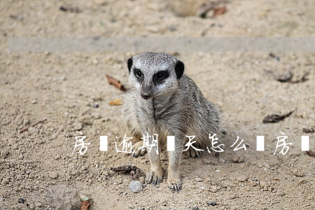 房貸逾期幾天怎么辦 房貸逾期幾天怎么消除