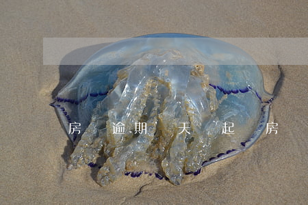 房貸逾期幾天會起訴（房貸逾期幾天會起訴）