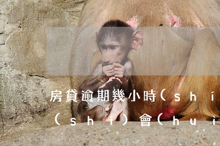 房貸逾期幾小時(shí)(房貸逾期幾小時(shí)會(huì)怎么樣)