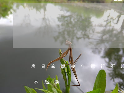 房貸逾期幾年銀行不起訴(逾期了銀行為什么不起訴)