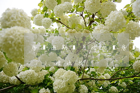 房貸逾期幾月被拍賣(房貸逾期多久會(huì)被法拍)