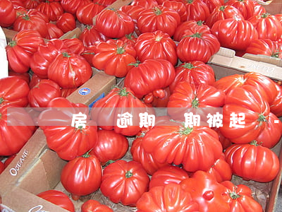 房貸逾期幾期被起訴-房貸逾期幾次被起訴