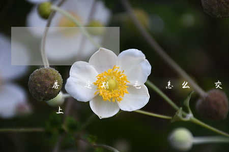 房貸逾期幾毛錢怎么補交(房貸逾期了怎么補上)
