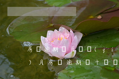 房貸逾期幾百塊錢(qián)一個(gè)月(房貸逾期幾十塊錢(qián)會(huì)有什么后果)