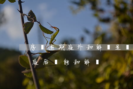 房貸逾期庭外和解還是沒錢還-房貸逾期開庭后還能和解嗎