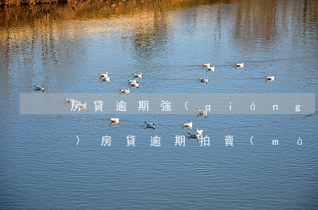 房貸逾期強(qiáng)制拍賣(mài)(房貸逾期拍賣(mài)還能商量一下嗎)