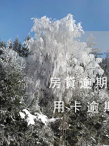 房貸逾期影響信用卡(征信有一個(gè)信用卡逾期影響房貸嗎)
