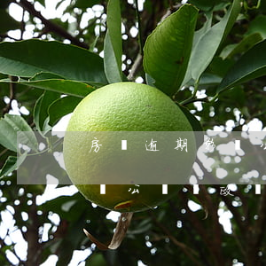 房貸逾期影響公務員政審(征信有一次逾期影響公務員政審嗎)