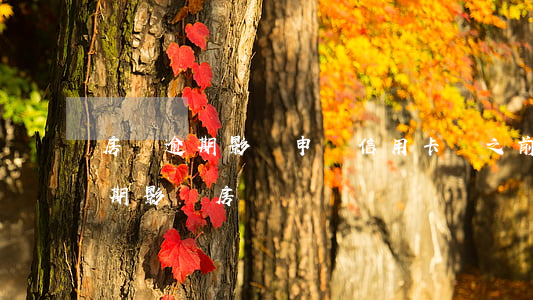 房貸逾期影響申請信用卡嗎(之前有信用卡逾期影響房貸嗎)