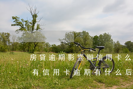 房貸逾期影響辦信用卡么(已經辦了房貸然后有信用卡逾期有什么后果)