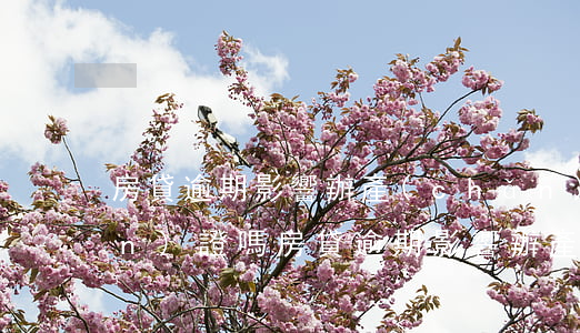 房貸逾期影響辦產(chǎn)權(quán)證嗎(房貸逾期影響辦產(chǎn)權(quán)證嗎)