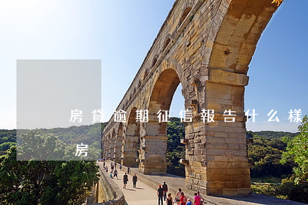 房貸逾期征信報告什么樣(征信有逾期貸款買房)