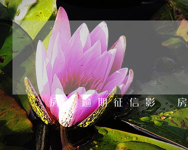 房貸逾期征信影響(房貸逾期征信影響年限)