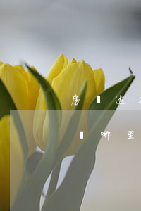 房貸逾期律師免費(fèi)咨詢（逾期貸律師哪里有）