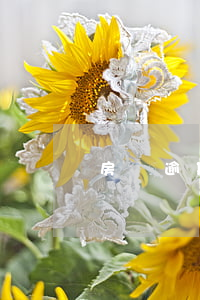 房貸逾期律師函（樂貸款逾期律師函）