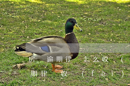 房貸逾期律師怎么收費(fèi)的(房貸逾期律師收費(fèi)標(biāo)準(zhǔn))