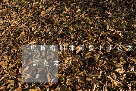 房貸逾期律師費上訴范本(房貸逾期律師費上訴范本)