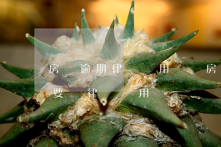 房貸逾期律師費用標準(房貸逾期收到律師函要給律師費用嗎)