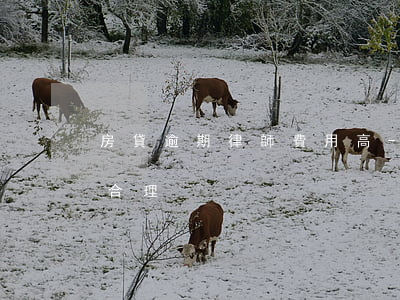 房貸逾期律師費用高-房貸逾期律師費多少合理