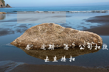 房貸逾期從房產公司扣款(房貸逾期了是不是還進去直接扣)