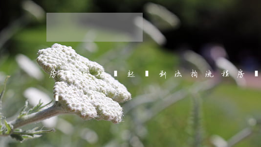 房貸逾期從起訴到法拍流程(房貸逾期起訴拍賣流程)