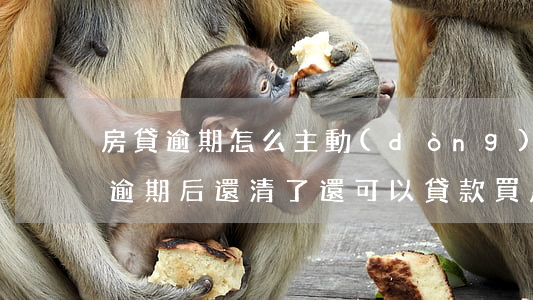 房貸逾期怎么主動(dòng)還款嗎(貸款逾期后還清了還可以貸款買房嗎)