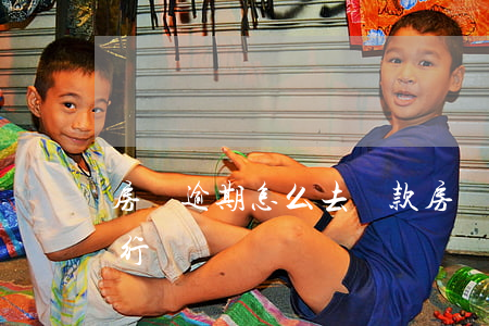 房貸逾期怎么去還款(房貸逾期怎么去還款銀行)