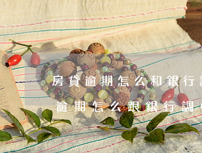 房貸逾期怎么和銀行調(diào)解(房貸逾期怎么跟銀行調(diào)解)