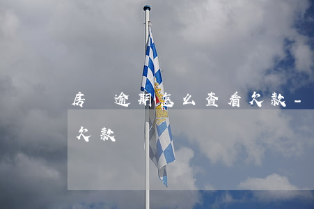 房貸逾期怎么查看欠款-房貸逾期怎么查看欠款記錄