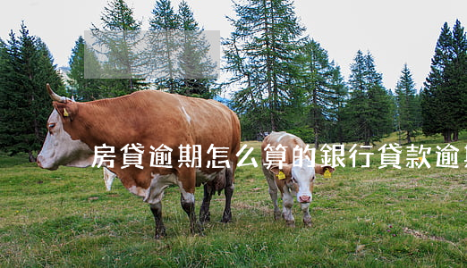 房貸逾期怎么算的(銀行貸款逾期怎么算)
