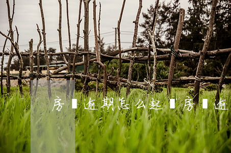 房貸逾期怎么起訴(房貸逾期法院起訴流程)