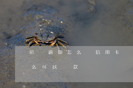 房貸逾期怎么辦信用卡(買房子信用卡逾期怎么可以貸款嗎)