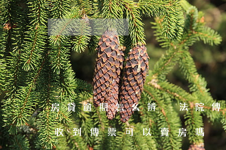 房貸逾期怎么辨別法院傳票真假-房貸逾期收到傳票可以賣房嗎