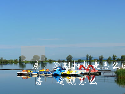 房貸逾期扣款是怎么回事(房貸被信用卡扣了,房貸逾期怎么辦)