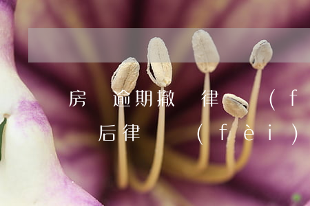 房貸逾期撤訴律師費(fèi)(房貸逾期撤訴后律師費(fèi))