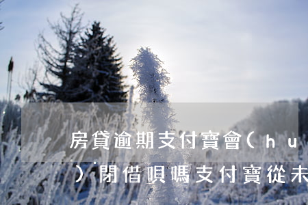 房貸逾期支付寶會(huì)關(guān)閉借唄嗎(支付寶從未逾期,卻被關(guān)了借唄?原因在這)