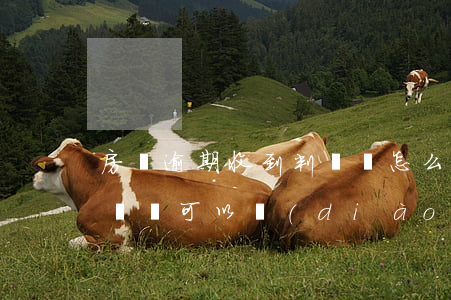 房貸逾期收到判決書怎么辦(房貸逾期收到判決書可以調(diào)解嗎)