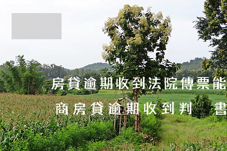 房貸逾期收到法院傳票能不能協(xié)商(房貸逾期收到判決書可以調(diào)解嗎)