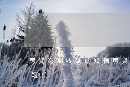 房貸逾期收到的短信（房貸逾期收到法院立案短信）