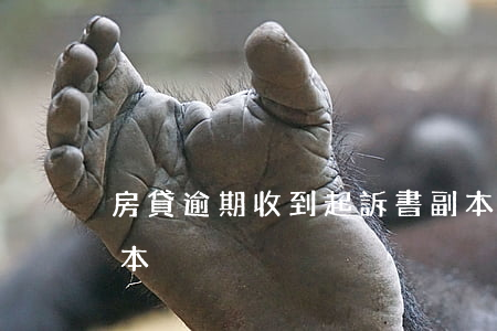 房貸逾期收到起訴書副本(逾期交房起訴狀范本)