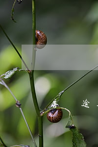 房貸逾期是刑事還是民事(貸款逾期觸犯刑法嗎)