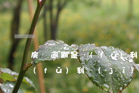 房貸逾期是復(fù)利還是單利(房貸是復(fù)利計(jì)息嗎)