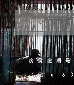 房貸逾期是按本金算利息(貸款逾期利息超過(guò)本金)