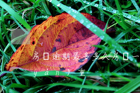 房貸逾期最多多久(房貸一般逾期多久算嚴(yán)重)