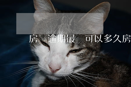 房貸逾期最長可以多久(房貸逾期期限)
