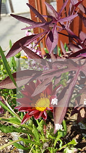 房貸逾期最長時(shí)間是多久(房貸逾期幾天算逾期)