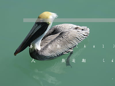 房貸逾期會(huì)影響擔(dān)保人嗎(貸款逾期擔(dān)保人信用受影響嗎?)