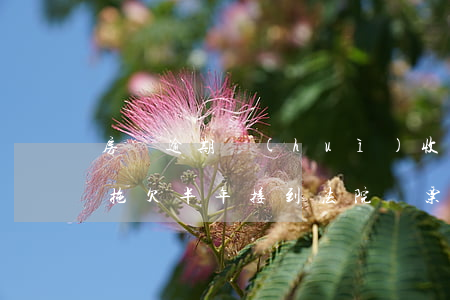 房貸逾期會(huì)收到法院傳票嗎(房貸拖欠半年接到法院傳票怎么處理)