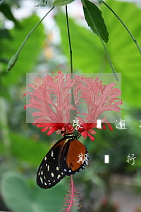 房貸逾期會(huì)被法院查封嗎(房貸逾期,銀行起訴,法院查封,現(xiàn)在想賣(mài)房還貸)
