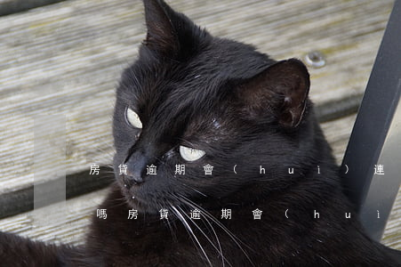 房貸逾期會(huì)連累對(duì)象嗎?(房貸逾期會(huì)連累對(duì)象嗎?)